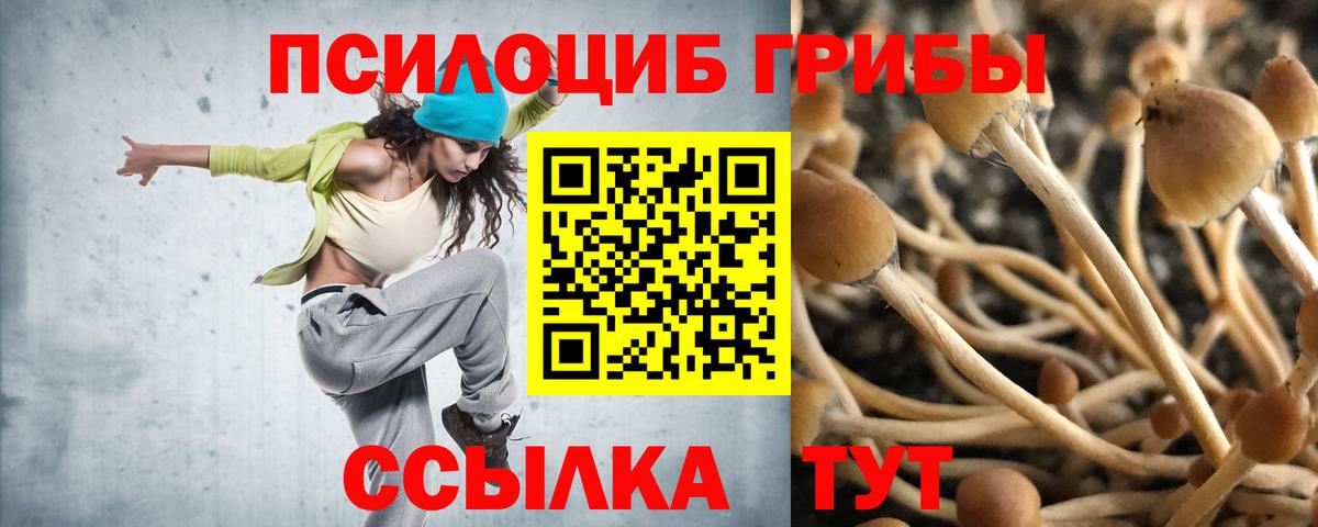 даркнет сайт  Вход с VPN  Комсомольск-на-Амуре  Псилоцибиновые грибы Psilocybe 
